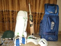Used Cricket Kit (Professional Edition)
