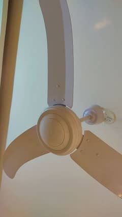 Used Celling Fans