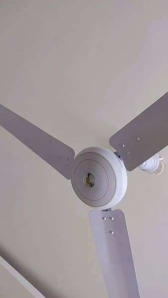 Used Celling Fans 1