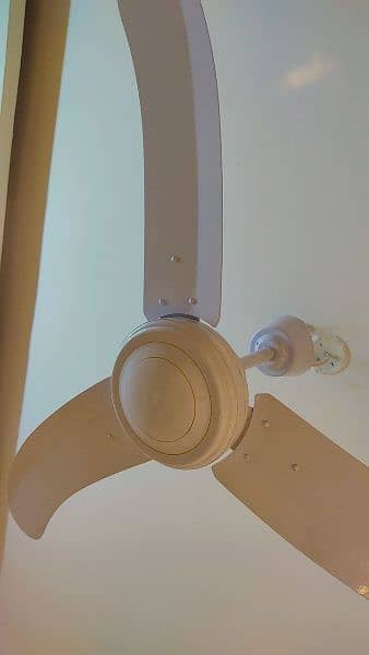 Used Celling Fans 5