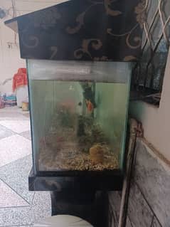 fish aquarium for sale 0