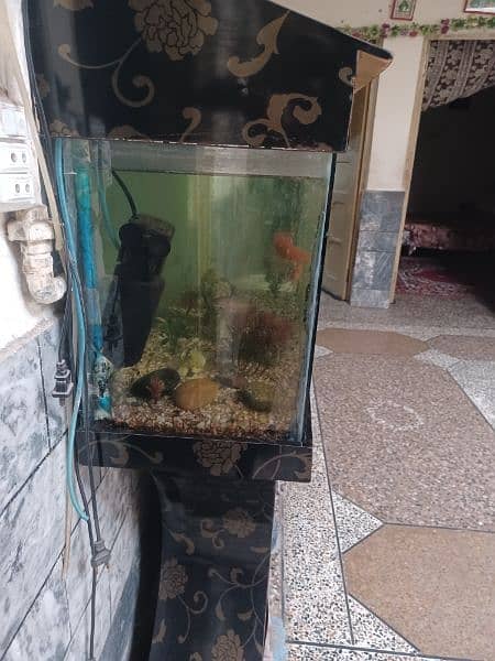 fish aquarium for sale 1