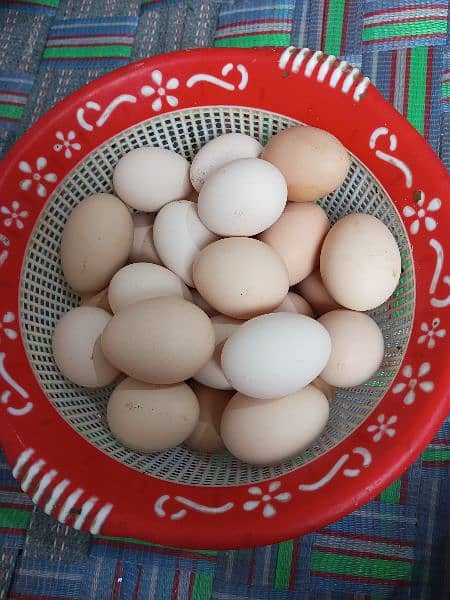 Desi Golden Misri Fancy Mix eggs 1