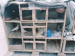 used cage for sale 0