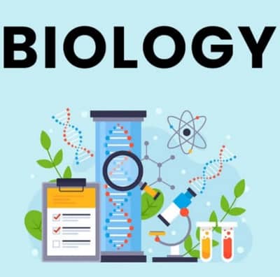 Biology Tuition basic to advance