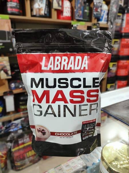 Whey protein and mass/weight gainer in whole sale 4
