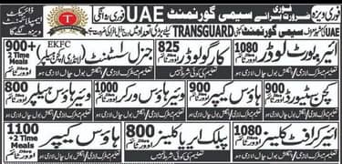 job are available in UAE or saudia