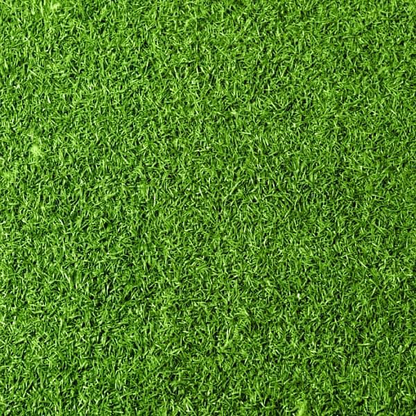 Astro turf | Artificial Grass| Grass Carpet/American grass carpetet 2