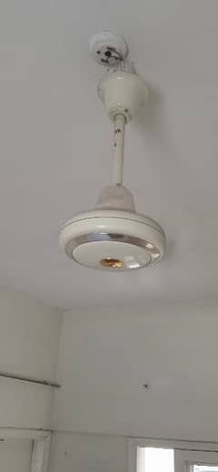 Ceiling fan for sale