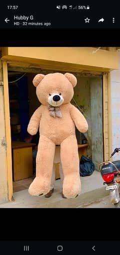 Teddy bear | Collection of imported teddy | Soft premium quality | Eid