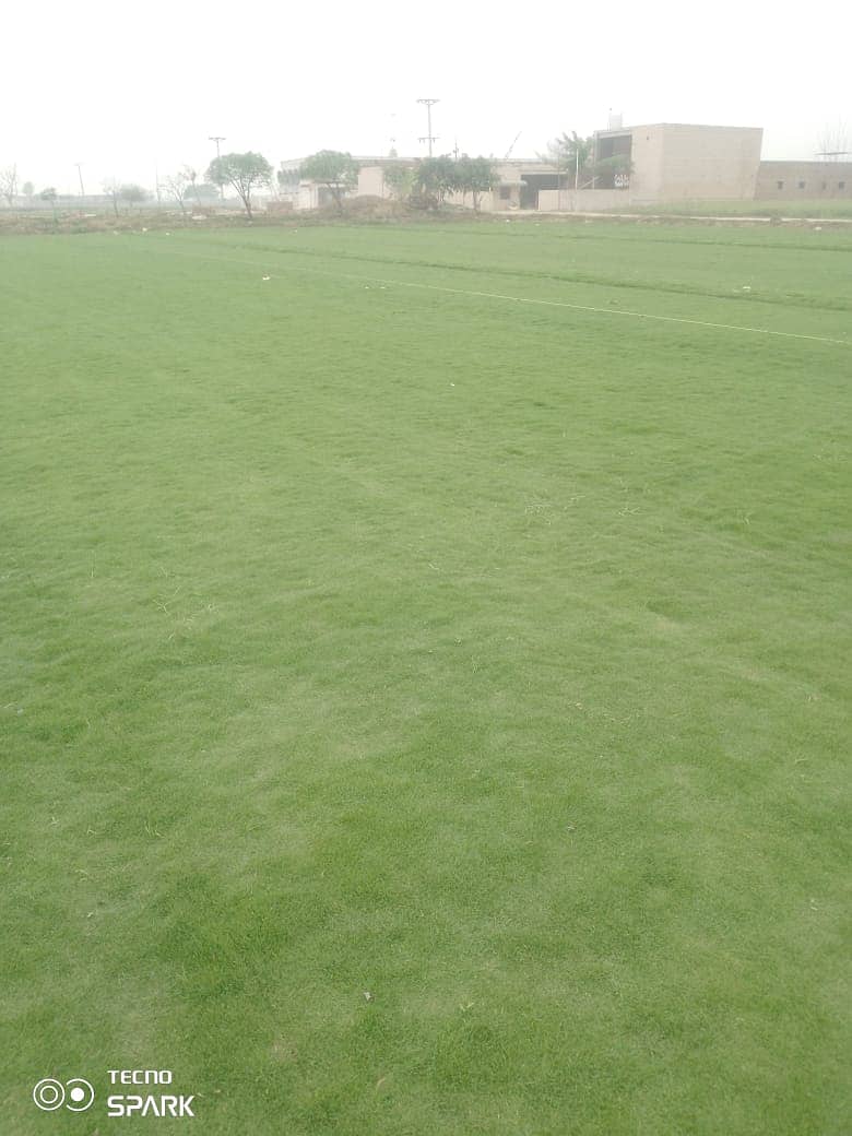 Natural korean grass / american grass / artificial grass / fine grass 9
