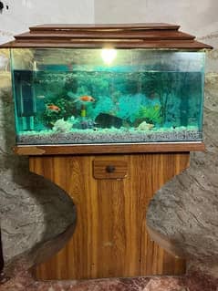 Aquarium 3 Feet with all accessories and fish. 0