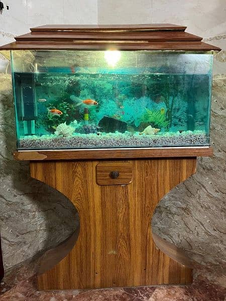 Aquarium 3 Feet with all accessories and fish. 0