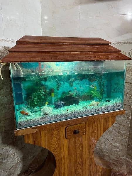 Aquarium 3 Feet with all accessories and fish. 1