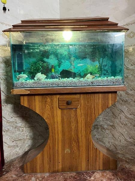 Aquarium 3 Feet with all accessories and fish. 2