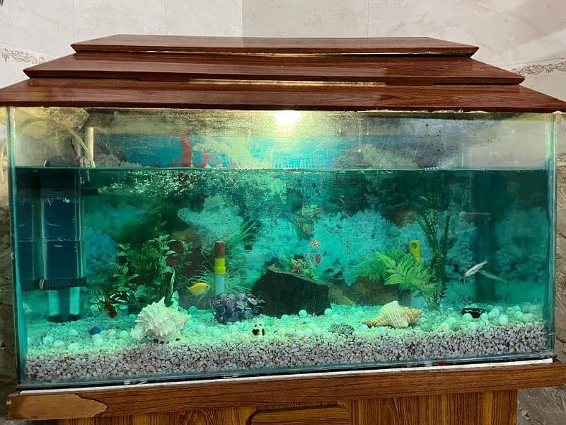 Aquarium 3 Feet with all accessories and fish. 3