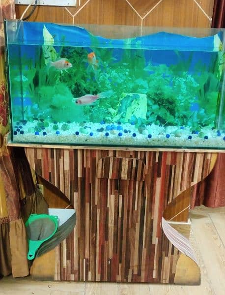 3 Feet Aquarium with Fish 0