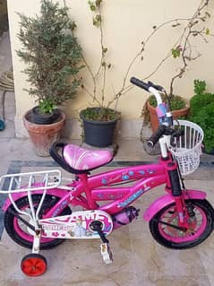 Barbie theme Bicycle for Kids