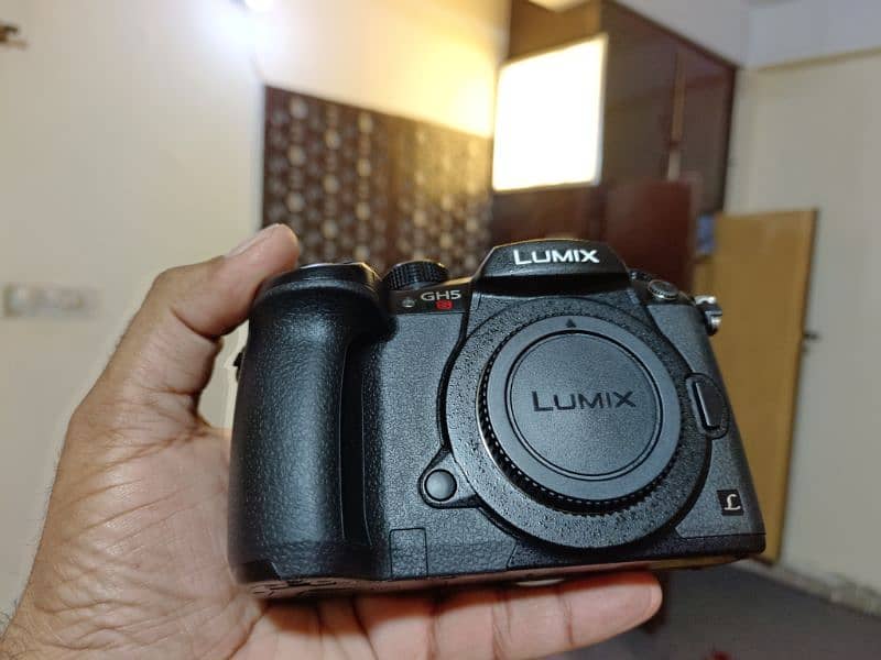 Panasonic Lumix GH5S (Body) 0