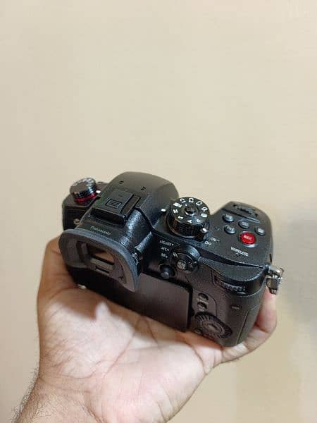 Panasonic Lumix GH5S (Body) 2