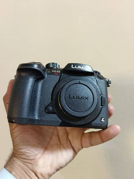 Panasonic Lumix GH5S (Body) 5