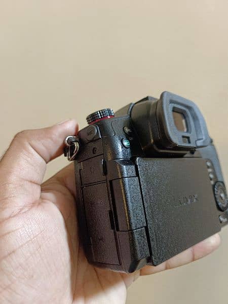 Panasonic Lumix GH5S (Body) 8