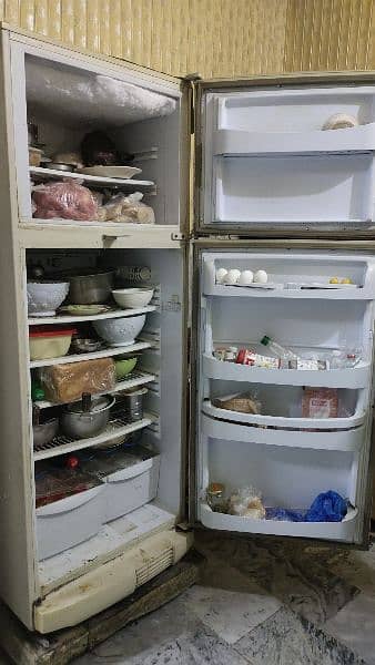 Pel  refrigerator full size jumbo 9