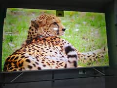 43 inches smart led tv IPS panel   4k resolution   03228083060