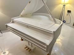 Grand piano / bassclef grand piano / pool table /keyboards / / sofa