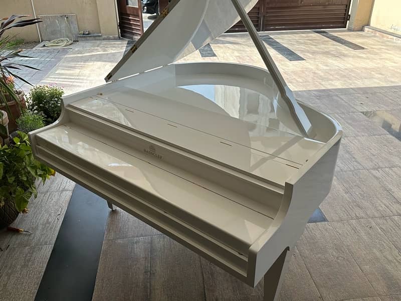 Grand piano / bassclef grand piano / pool table /keyboards / / sofa 6