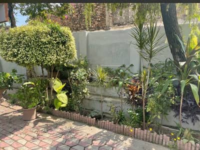 A gem in the middle of city. 18 marla old house