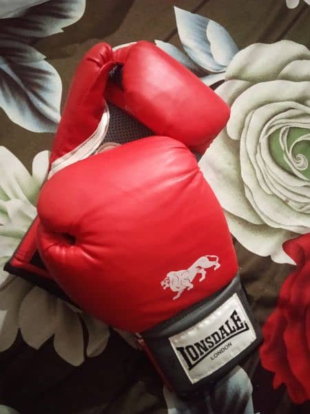 Lonsdale boxing gloves (12oz ) 1