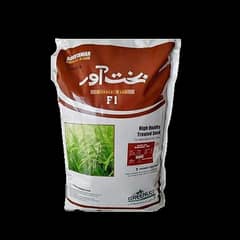 Bakhtawar 203 Hybrid Rice F1 5kg