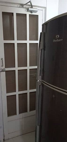 White Net Door in quality wood with beautiful design 2