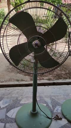 01 DC pedestal fan