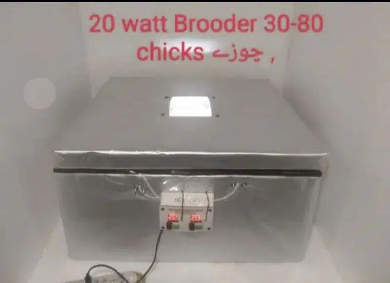 Energy saver incubator 10 watt | Egg hatching | egg machine| incubator — photo 8