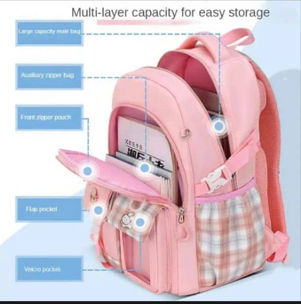 School Bag for sale with delivery 2