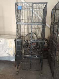 a. o. a 4 cage 4 sale per cage price 16000