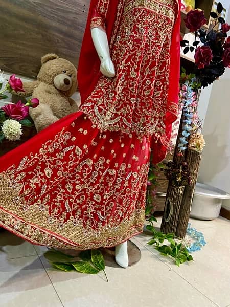 Bridal Dress | Wedding Dress |  Mehndi Lehnga | Designer Bridal maxi* 3