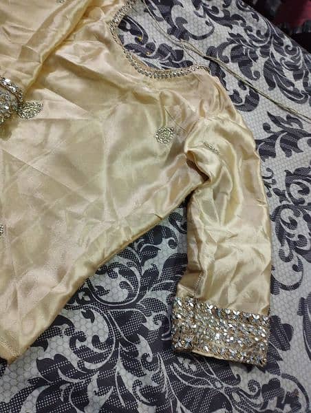 Saree/Sarri party nikah wedding dress Blouse & petticoat 2