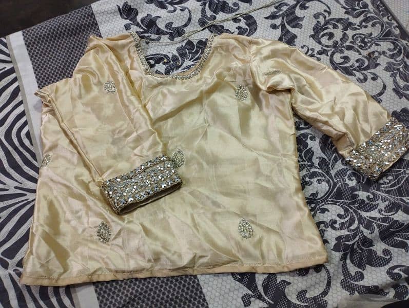 Saree/Sarri party nikah wedding dress Blouse & petticoat 3