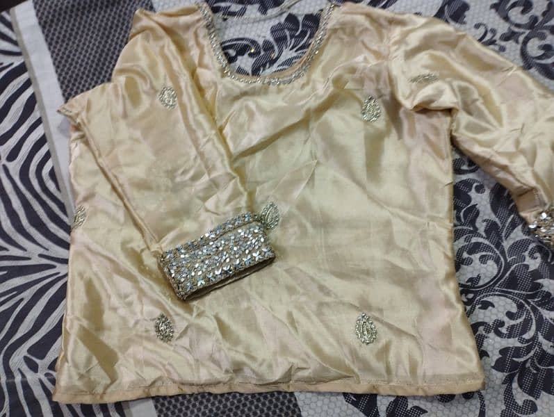 Saree/Sarri party nikah wedding dress Blouse & petticoat 4