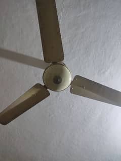 heavy fan100 percent coper
