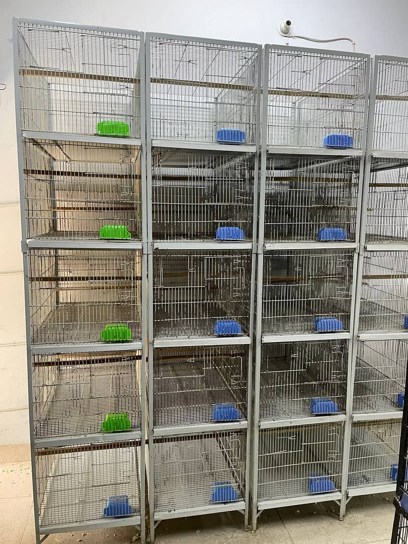 Cage/ Birds cages/ cage for sale / pinjra 2