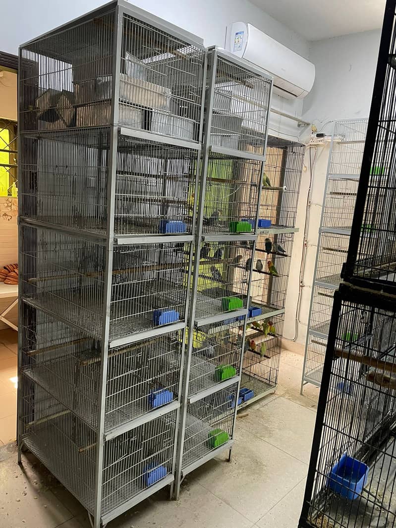 Cage/ Birds cages/ cage for sale / pinjra 3