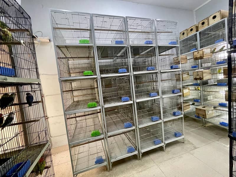Cage/ Birds cages/ cage for sale / pinjra 1