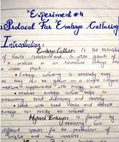 hand writing assignment available in cheapest rate