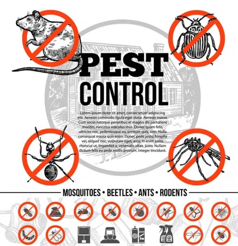 Termite Control, Fumigation Spray, Deemak Control, Pest Control 2