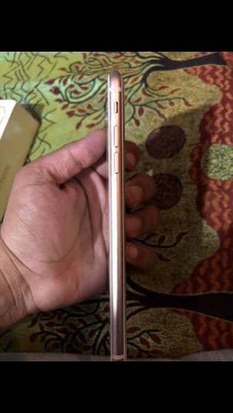iphone 8 plus 64  gb pta approved 1