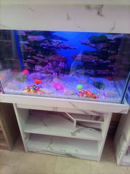 Fish Aquarium 2